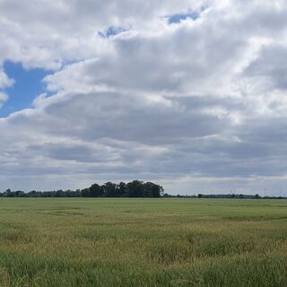 Blick in die Elbeniederung