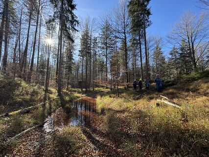 Foto da Denise Miller lungo il tour