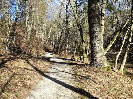 Theusingerweg