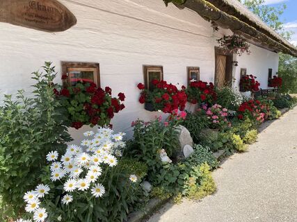 Foto von Willy entlang der Tour