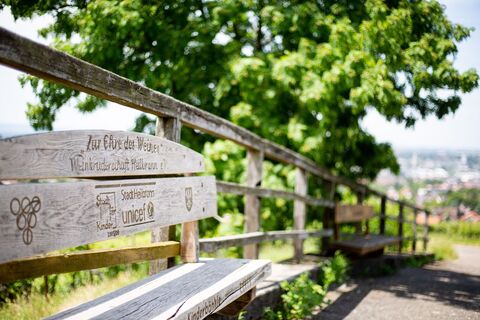 Wein Panorama Weg am Wartberg | Weinstadt Heilbronn | HeilbronnerLand