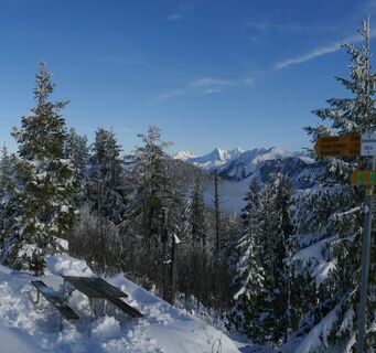 Schneeschuhtrail-Panoramawegtrail