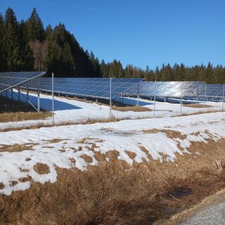 Foto de Zeta Kones a lo largo del recorrido