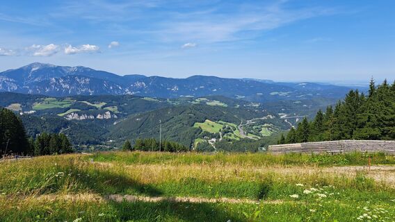 Fotografia z MoniMo na trase