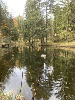 Foto von AN NE 4 entlang der Tour