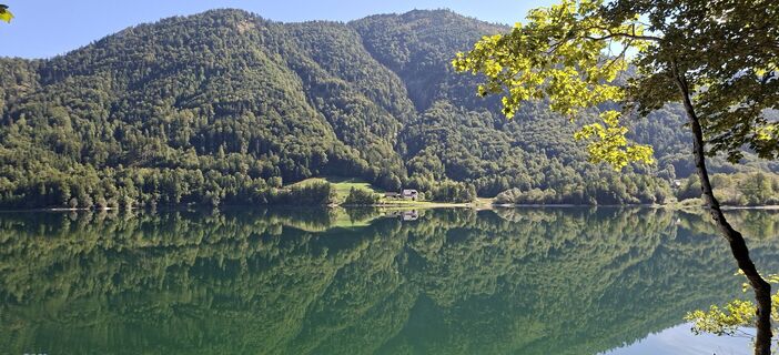 Fotografija s spletne strani M Dicketmueller na poti