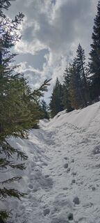 Photo de Raoul Nicolas le long du parcours