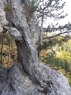 Photo de Robert Scheiber le long du parcours