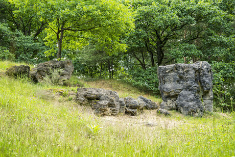 Sandsteine von Holzen