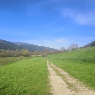 Foto von Sonja Enzenhofer entlang der Tour