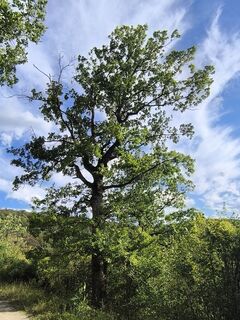 Foto von Matthias Erl entlang der Tour