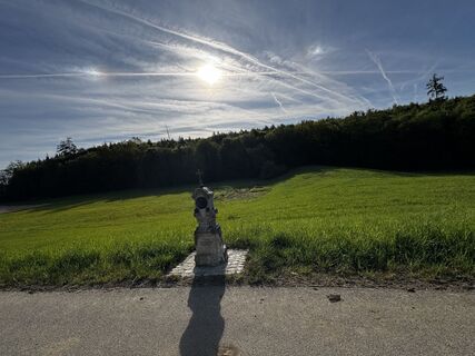 Fotografija s spletne strani Schaali na poti