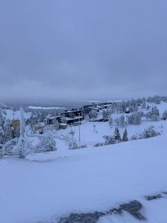 Zdjęcie z Snowboard-BS wzdłuż trasy