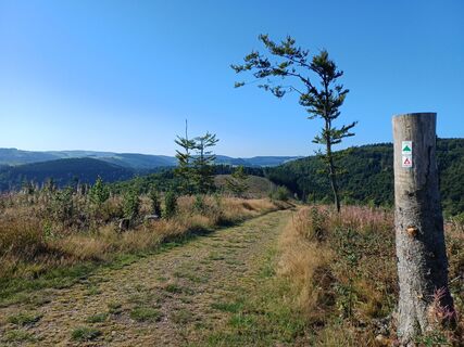 2025 Briloner Kammweg Rothekopf quer DA.jpg