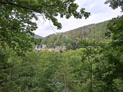 Foto von Wollomator entlang der Tour