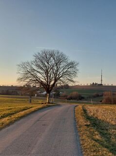 Foto von Sabrina Hackel entlang der Tour