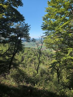 Foto de FabianGisel a lo largo del recorrido