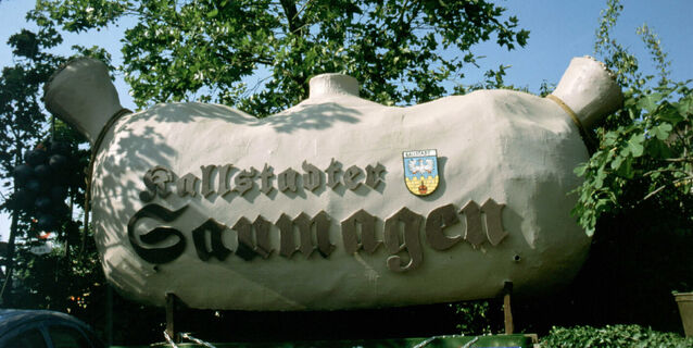 der Kallstadter Saumagen als Umzugswagenmotiv