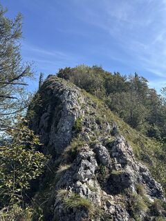 Zdjęcie z brosensteiner wzdłuż trasy