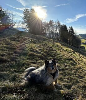 Foto von Norbert Schneider entlang der Tour