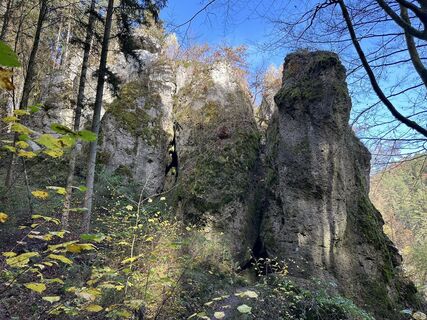 Fotografija s spletne strani Norbert Herbig na poti