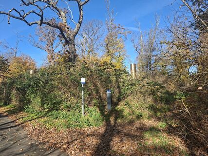 Fotografia z Franziska Mosebach na trase