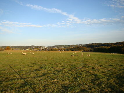 Wiese oberhalb des Freilichtmuseums mit Blick auf Lindlar