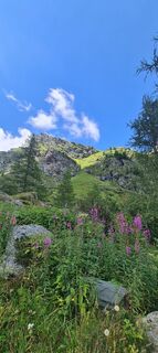 Foto von Martina Oitzinger entlang der Tour