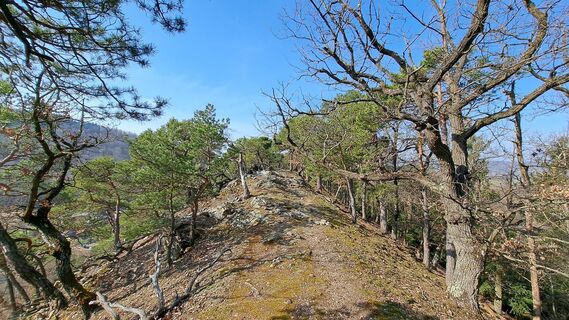 Foto von Frau Gramurli entlang der Tour