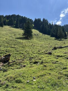 Photo de justasimpleguy le long du parcours