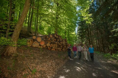 Wandern auf waldreichen Wegen oberhalb von Oberkirchen