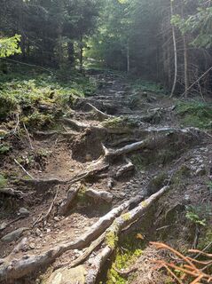 Foto von Andreas Niemann entlang der Tour