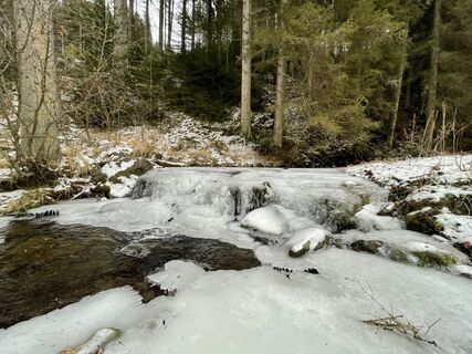 Foto von Trekman entlang der Tour