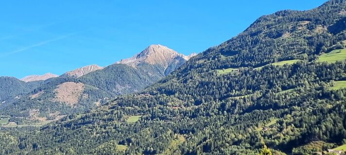 Photo de Heidi Zeiss le long du parcours