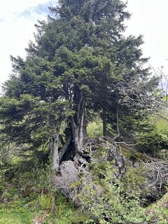 Foto von csamay entlang der Tour