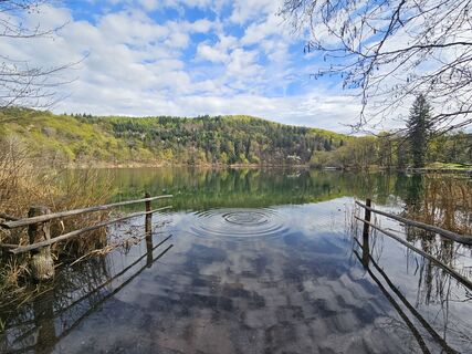 Fotografie z flo.8 na trase