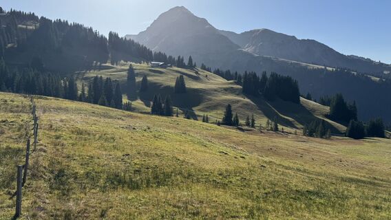 Zdjęcie z peter_oe wzdłuż trasy
