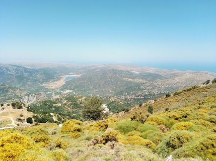 Photo de MopsBiene le long du parcours