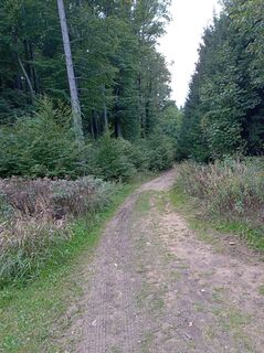 Photo de Steirer Bua le long du parcours