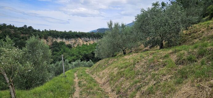 Foto de Daniel Wohlmuth a lo largo del recorrido