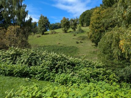 Photo de Edero le long du parcours