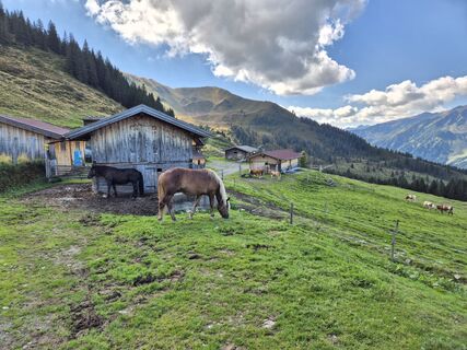 Fotografie z Thomas Schwarz 9 na trase