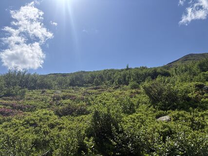 Foto von Stefan Tesch entlang der Tour