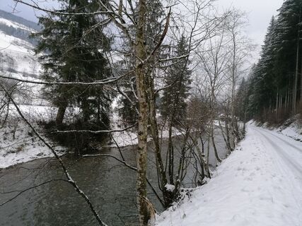 Winterlicher Raumbergweg am Donnersbach