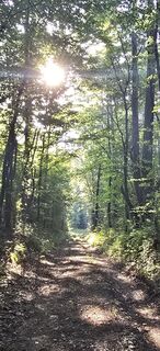 Foto von Markus Ortner entlang der Tour