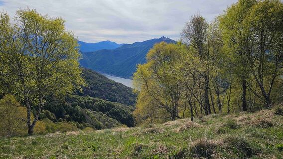 Fotografie z Piero Pozzi na trase