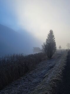 Fotografija s spletne strani Natalie Prosch na poti