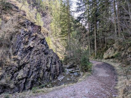 Scheffau_Seebachgraben_Felsformation_März
