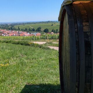 Aussicht Richtung Ranschbach