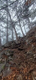 Fotografija s spletne strani Diana Croitoru na poti